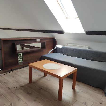 Attic Parkview Apartment 皮耶什佳尼 外观 照片