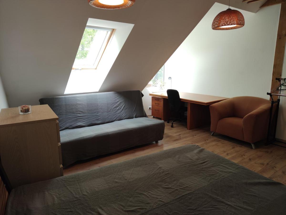 Attic Parkview Apartment 皮耶什佳尼 外观 照片